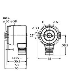 Turck RM-35H12E-3C25B-H1181